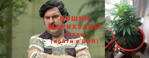 хмурый Магас