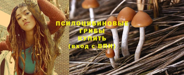 хмурый Магас