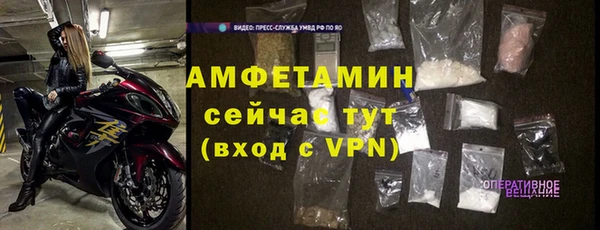хмурый Магас