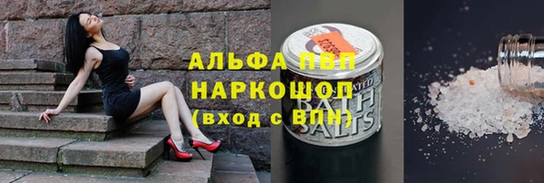 хмурый Магас