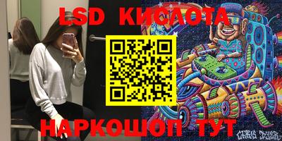 гидра Заводоуковск