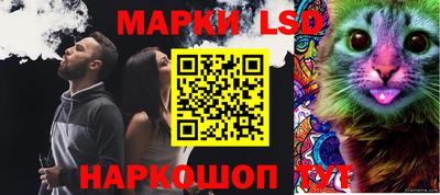 гидра Заводоуковск