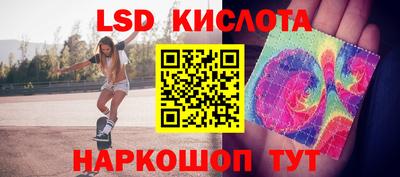 гидра Заводоуковск