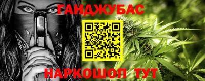 гидра Заводоуковск