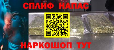 гидра Заводоуковск