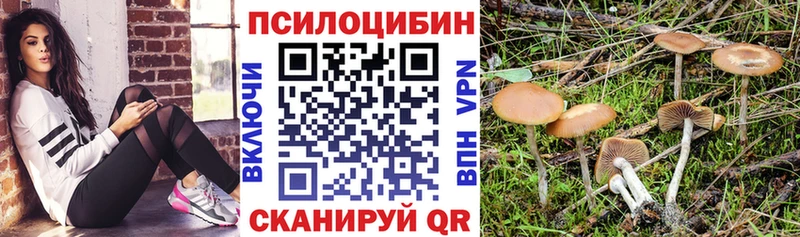 Галлюциногенные грибы Psilocybe  mega вход  Нерюнгри  наркота 