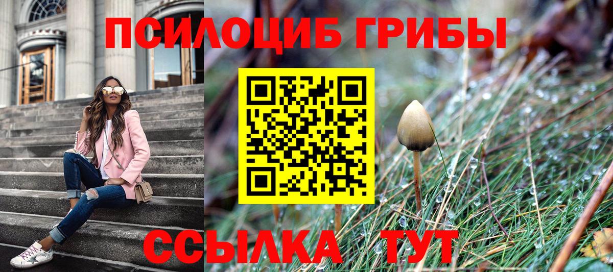 Псилоцибиновые грибы ЛСД Нерюнгри