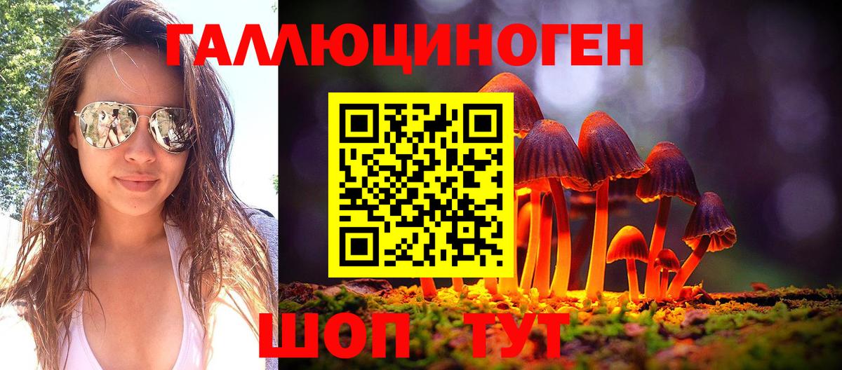 Нерюнгри  Галлюциногенные грибы прущие грибы  Вход с VPN  Псилоцибиновые грибы Cubensis 